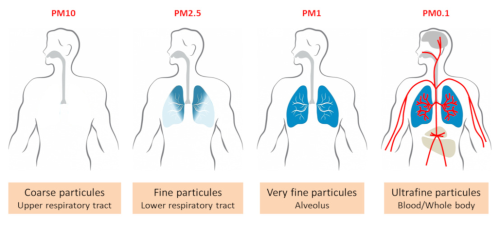 老虎機：與吸菸一樣，空氣中的PM2.5會加劇肺癌風險