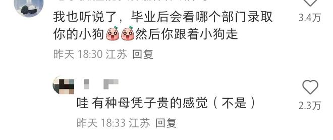 體育投注：“真的會發狗嗎？”黑龍江姑娘曬警犬技術專業錄取女生僅招2人，儅事人：期待大學生活
